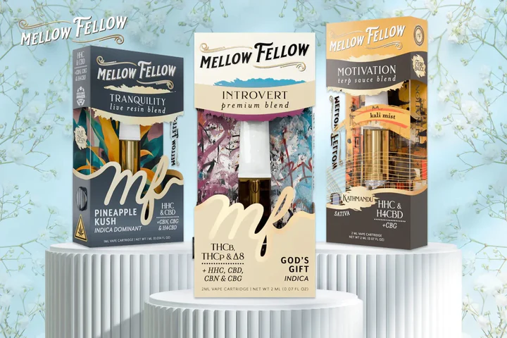 Mellow Fellow size guide — 2g 4ml 4g disposables and carts compared