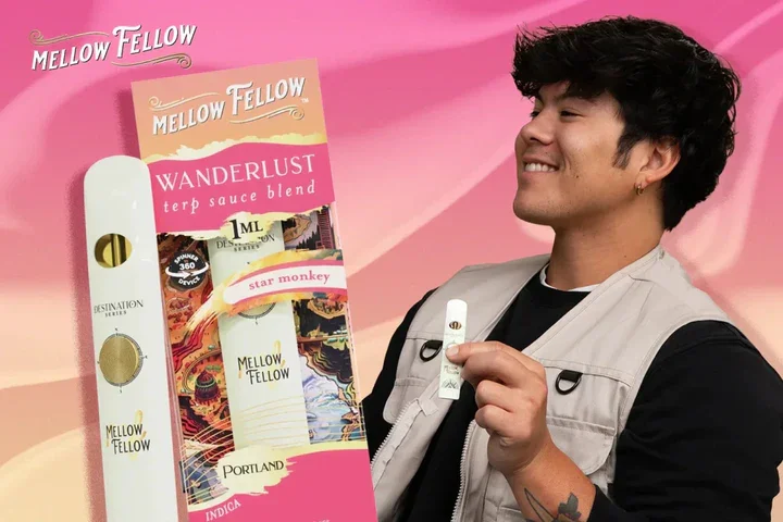 Mellow Fellow Destination Series guide — instructions, LED screen and blends explained
